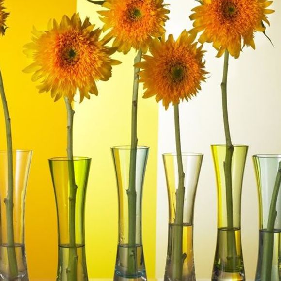 Meet your Posher, Becky - Picture 1 of 1